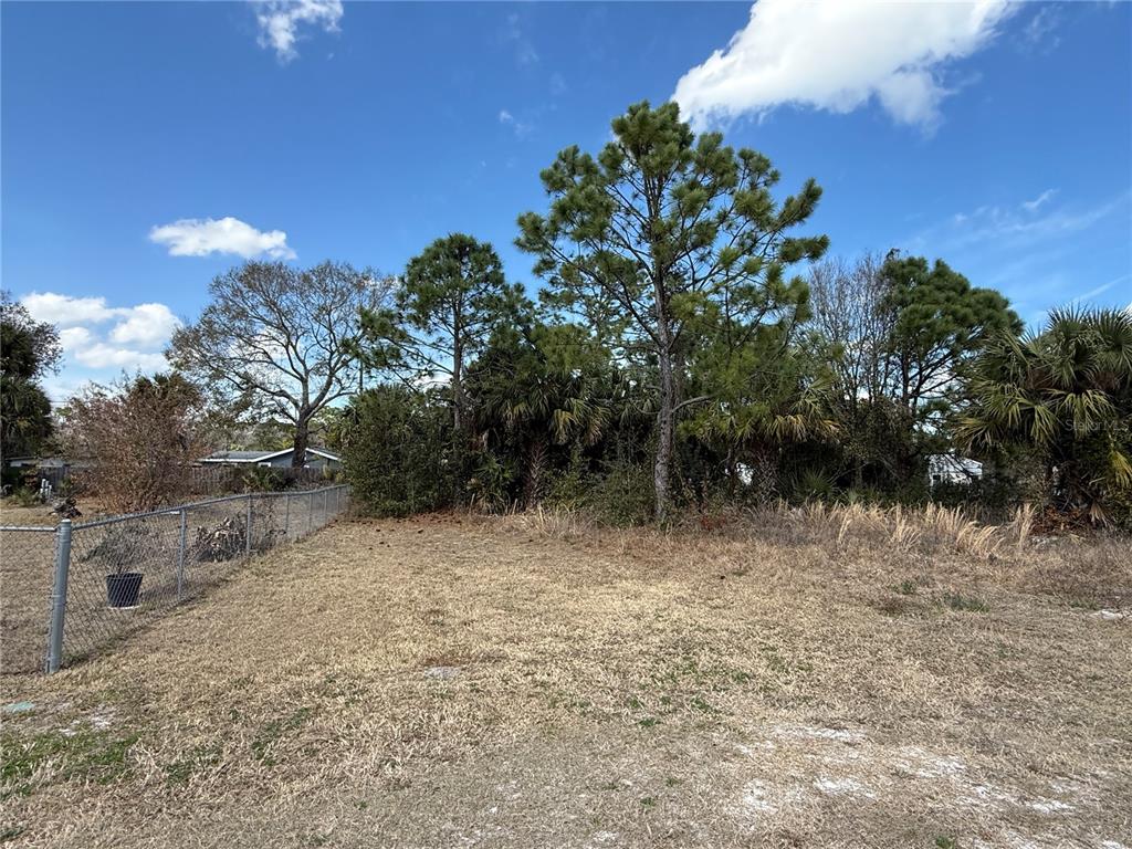 A grassy, vacant lot features a chain-link fence and mature trees under a blue sky — 1069 MASSEY ROAD, NEW SMYRNA BEACH, FL