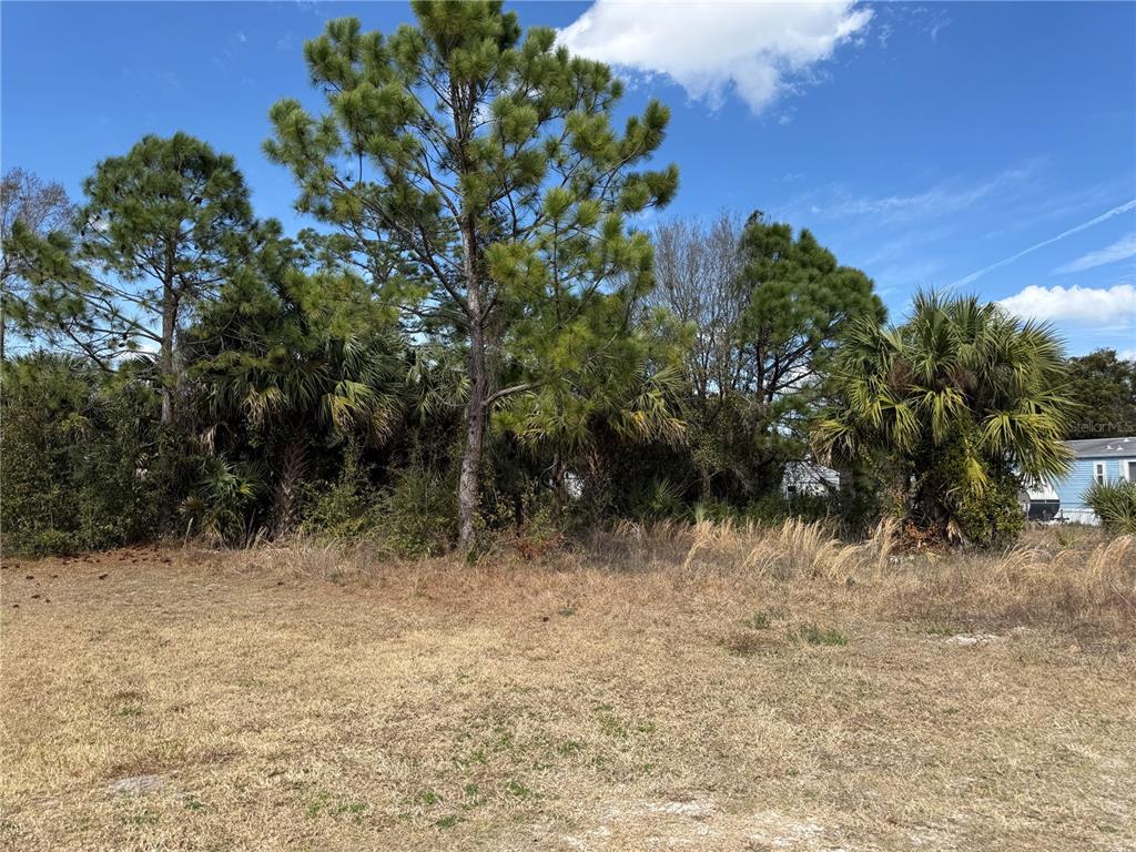 A grassy, undeveloped lot features scattered trees and dense vegetation under a blue sky — 1069 MASSEY ROAD, NEW SMYRNA BEACH, FL