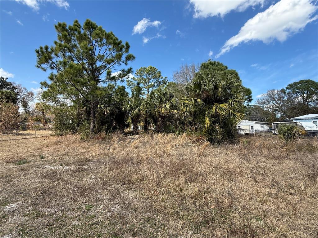 A vacant, grassy lot features several large pine and palm trees under a blue sky — 1069 MASSEY ROAD, NEW SMYRNA BEACH, FL