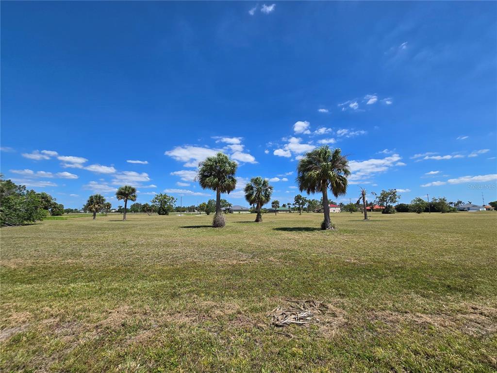 A wide, grassy field features several palm trees under a bright blue sky — 16284 JUAREZ COURT, PUNTA GORDA, FL