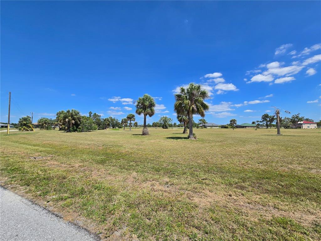 A large, grassy vacant lot features several palm trees under a clear blue sky — 16284 JUAREZ COURT, PUNTA GORDA, FL