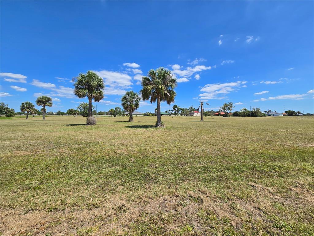 A wide, grassy field features several palm trees under a bright blue sky — 16284 JUAREZ COURT, PUNTA GORDA, FL