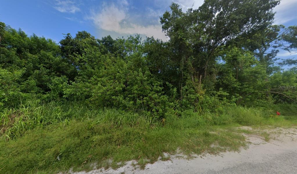 A dense, overgrown wooded lot sits beside a sandy road under a blue sky — 3225 S 7TH STREET, FORT PIERCE, FL