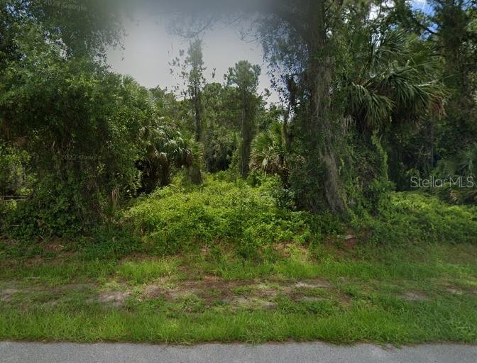 A view of a densely wooded, undeveloped lot with various trees and thick ground vegetation — MAURKBACH TERRACE, NORTH PORT, FL