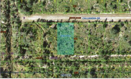 This aerial map shows a rectangular vacant lot highlighted in green along a dirt road — CALLIANDRA DRIVE, INDIAN LAKE ESTATES, FL