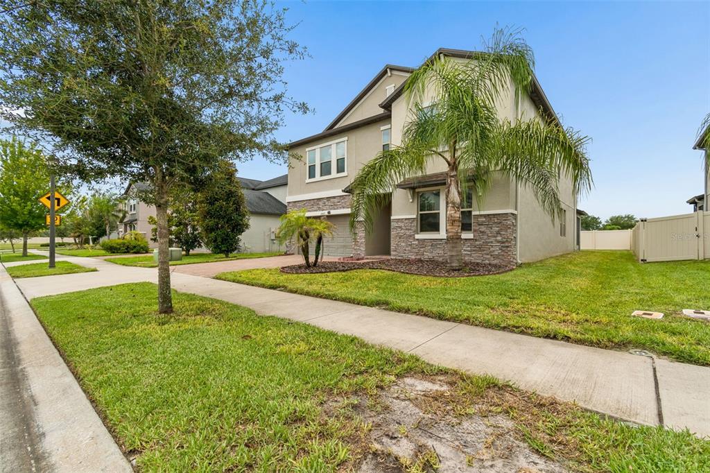 A two-story suburban house with a stone facade, a palm tree, and a concrete sidewalk — 25057 LAMBRUSCO LOOP, LUTZ, FL