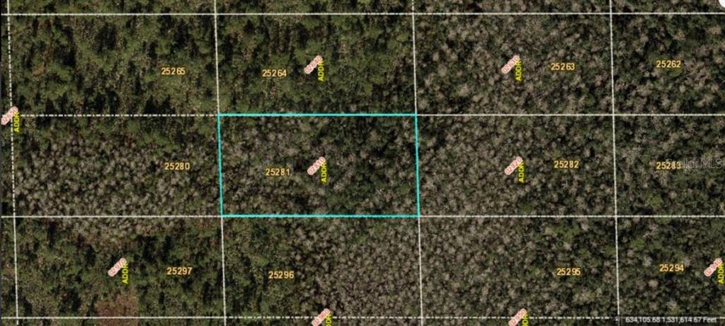 This aerial map shows a rectangular plot of land highlighted in blue among wooded lots — DILL ROAD, ORLANDO, FL