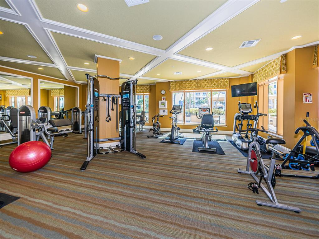 A fitness center features various exercise machines, a red stability ball, and patterned carpet flooring — 11 BAYMONT STREET UNIT 403, CLEARWATER BEACH, FL