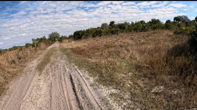 A dirt path winds through a dry, grassy field bordered by trees under a cloudy sky — 0 NW 318th Street, Okeechobee FL 34972, OKEECHOBEE, FL