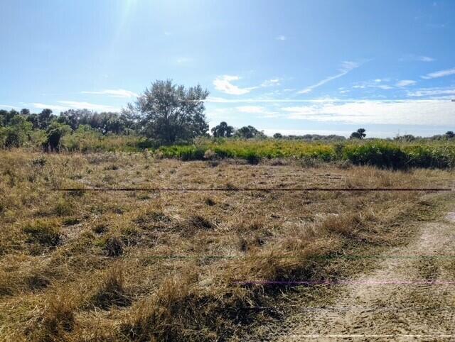 A flat, grassy, undeveloped lot with scattered trees and shrubs under a clear blue sky — 0 NW 318th Street, Okeechobee FL 34972, OKEECHOBEE, FL