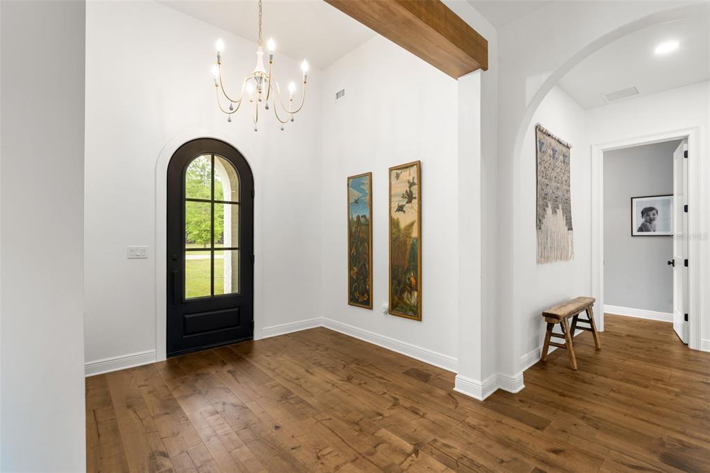 An entryway features a black arched door, a chandelier, wood floors, and two framed paintings — 14503 NW 50TH PLACE, ALACHUA, FL