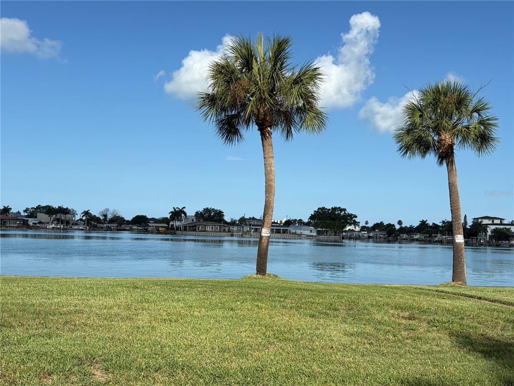 Two palm trees stand on a grassy lawn overlooking a calm body of water — 110 SUNSET DRIVE S, ST PETERSBURG, FL