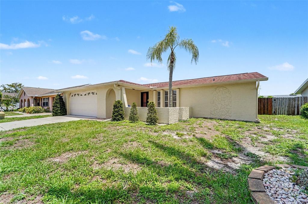A single-story house with a beige stucco exterior, a palm tree, and a front lawn — 4316 CHIPMUNK DRIVE, NEW PORT RICHEY, FL