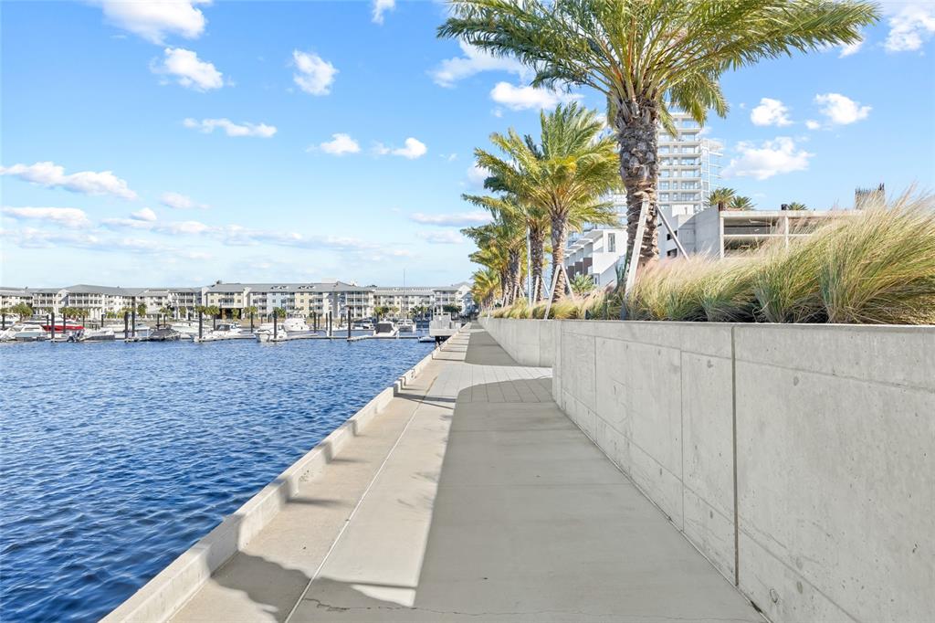 A concrete walkway runs along a marina with palm trees and a low retaining wall — 5120 BRIDGE STREET UNIT 5, TAMPA, FL