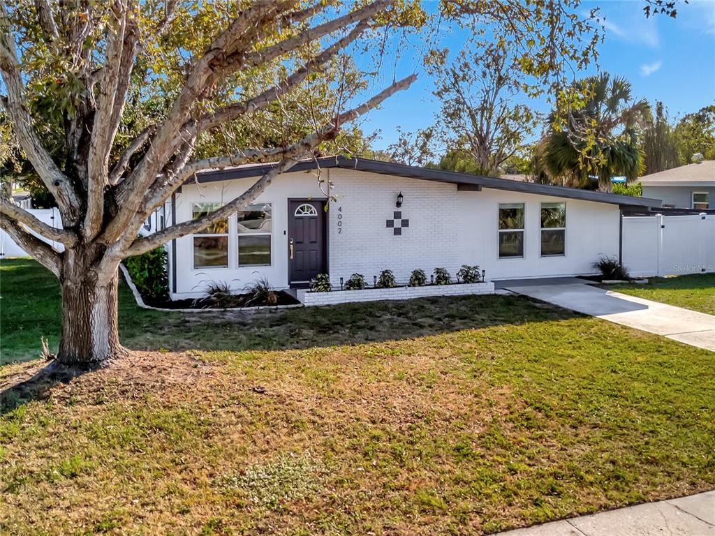 A white brick, mid-century modern ranch house features a dark front door and large tree — 4002 W OKLAHOMA AVENUE, TAMPA, FL