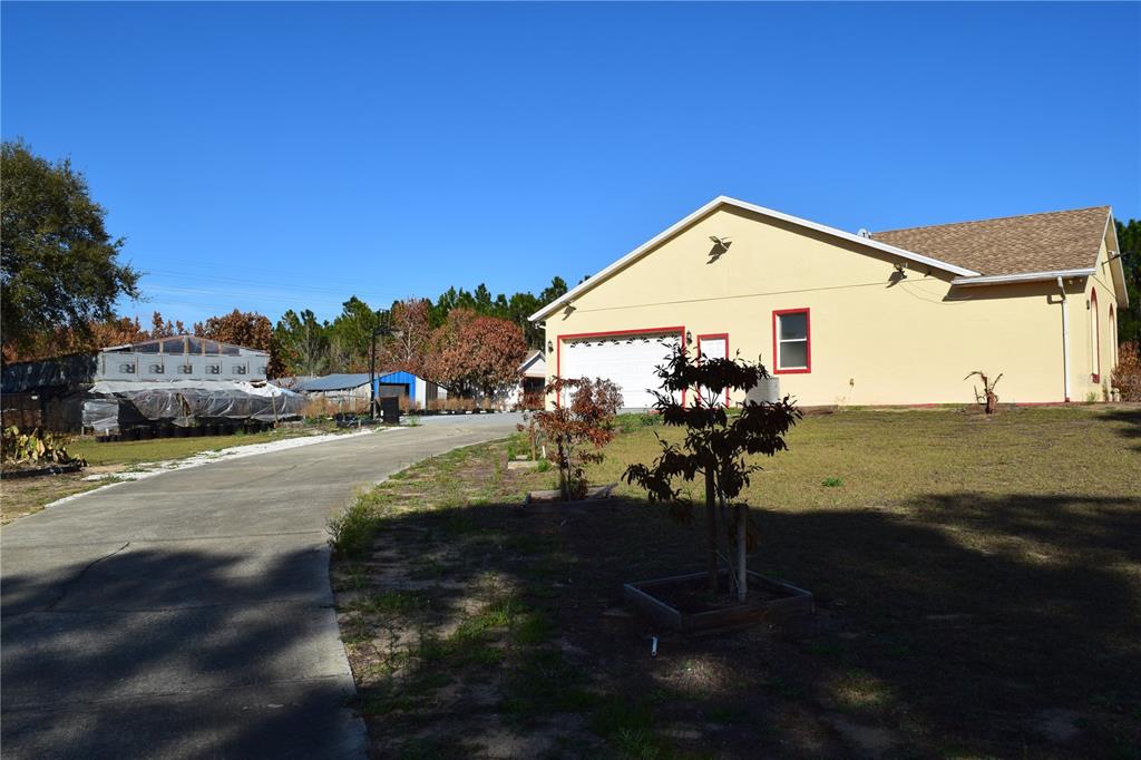 A concrete driveway leads to a yellow house with a garage and a greenhouse nearby — 7901 N CHERRY LAKE GROVES ROAD, GROVELAND, FL