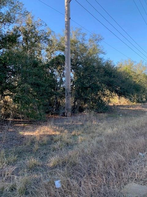 A utility pole stands in a grassy field in front of a dense line of trees — 3288 MASTERPIECE ROAD, LAKE WALES, FL