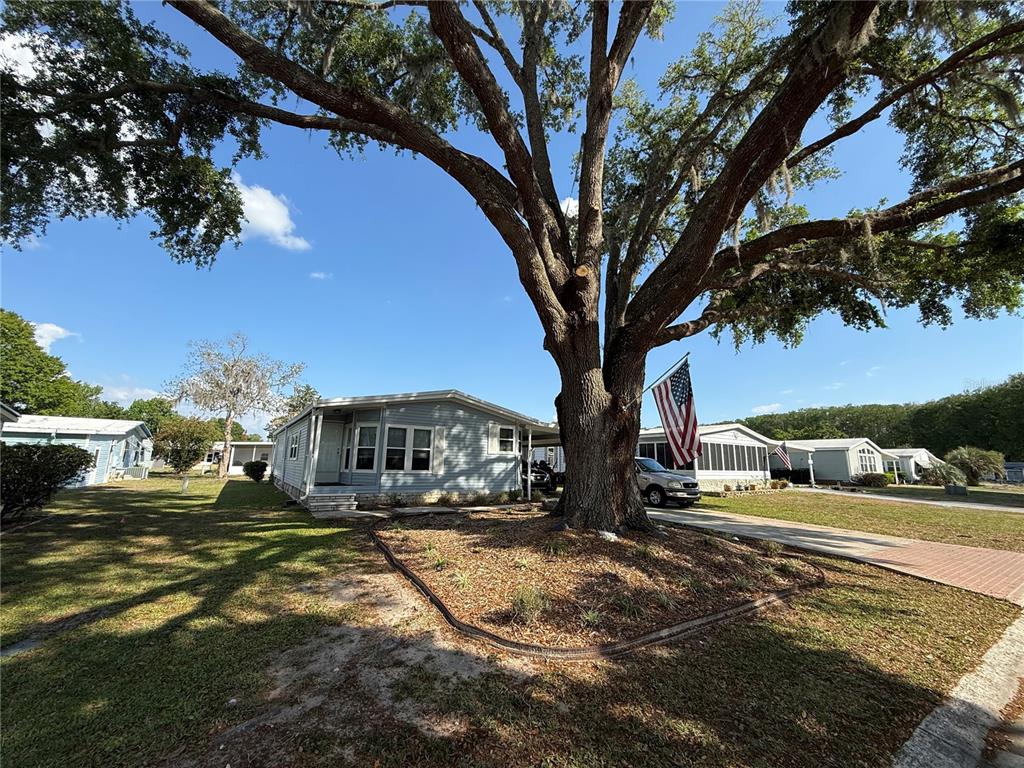 A light blue mobile home sits behind a large oak tree with an American flag — 807 OAK BOULEVARD, WILDWOOD, FL