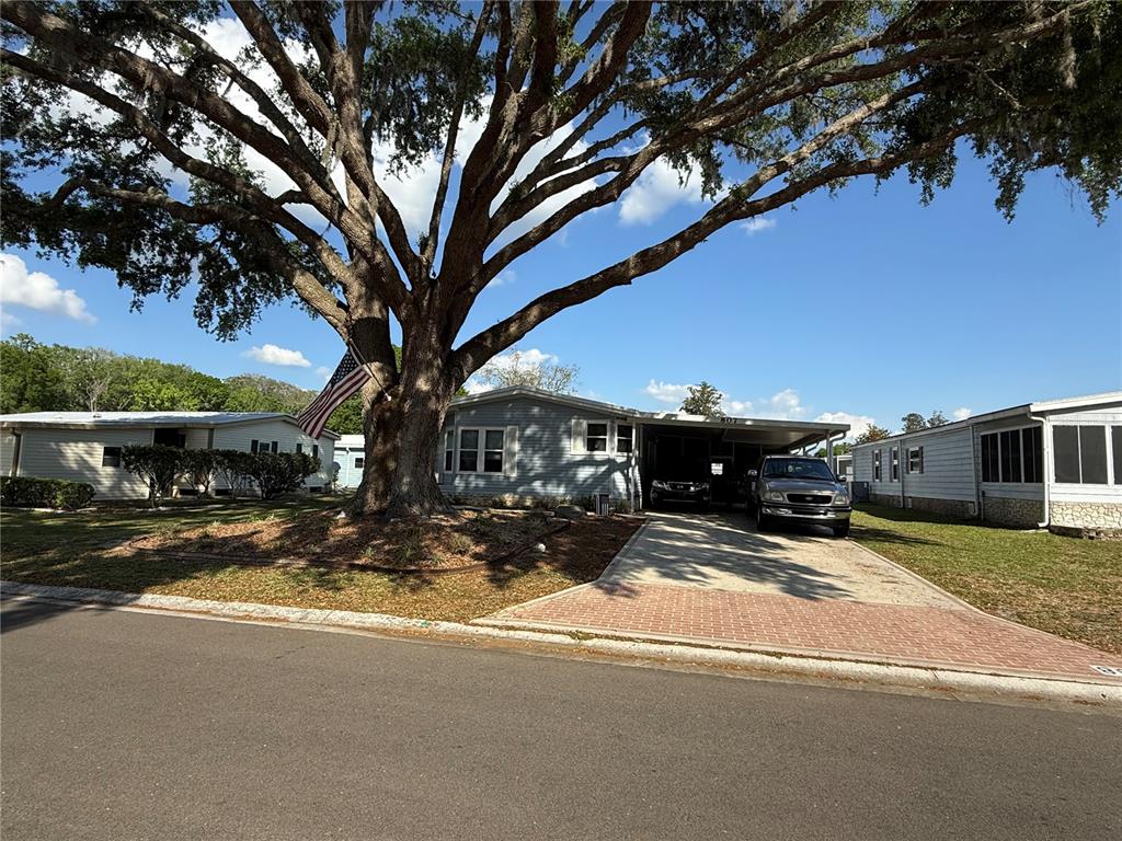 A single-story mobile home with a large oak tree and a brick-paved driveway — 807 OAK BOULEVARD, WILDWOOD, FL