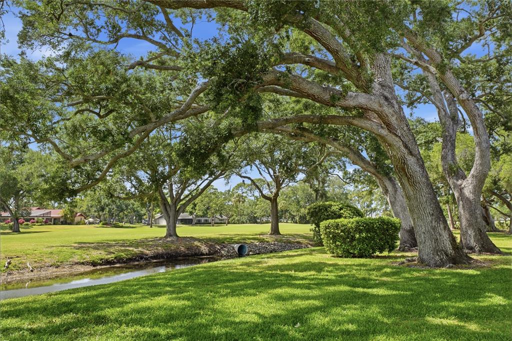 A grassy yard with large oak trees overlooks a small canal and a golf course — 7860 PALM AIRE LANE UNIT 103, SARASOTA, FL