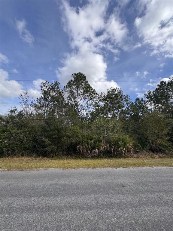 A paved road runs in front of a wooded lot with dense trees and vegetation — 0 CORONET AVENUE, ORLANDO, FL