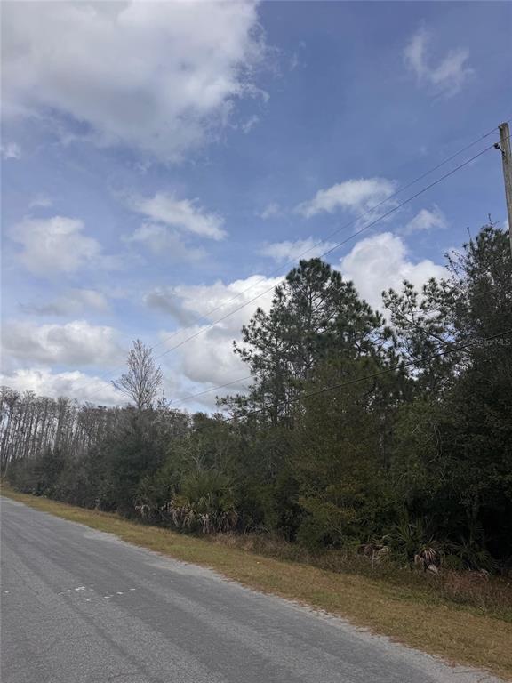 A paved road runs alongside a wooded lot with power lines overhead under a cloudy sky — 0 CORONET AVENUE, ORLANDO, FL