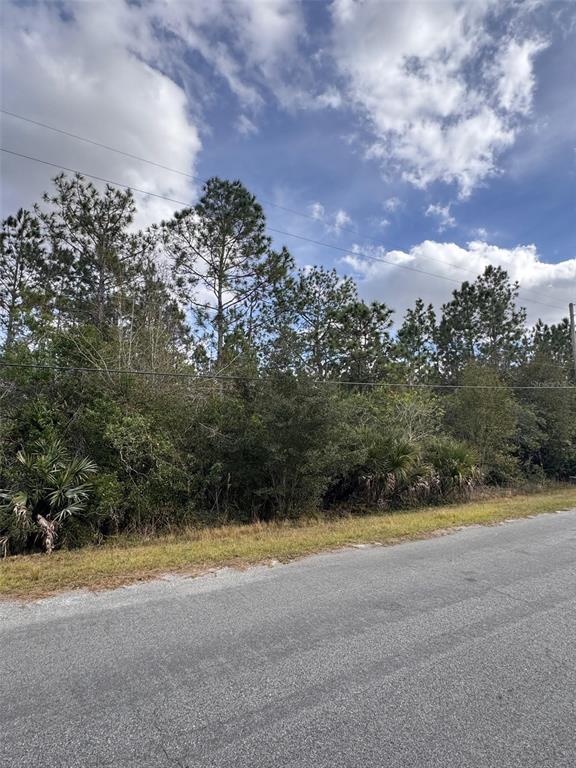 A paved road runs alongside a wooded lot with tall pine trees and dense vegetation — 0 CORONET AVENUE, ORLANDO, FL