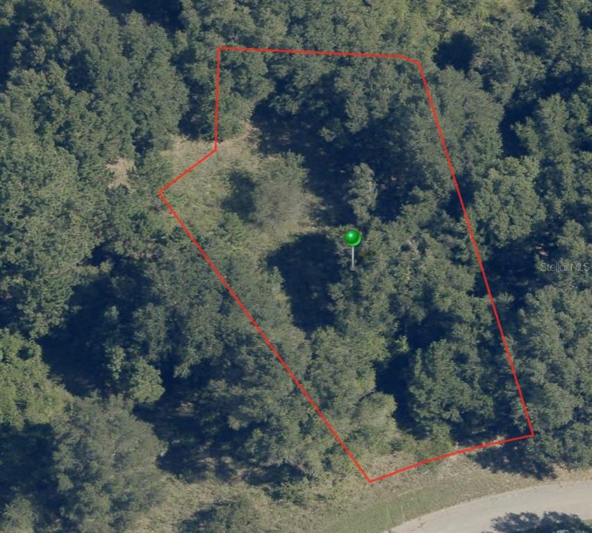 An aerial view shows a wooded, irregularly shaped plot of land outlined in red — 8047 N ELWOOD WAY, CITRUS SPRINGS, FL