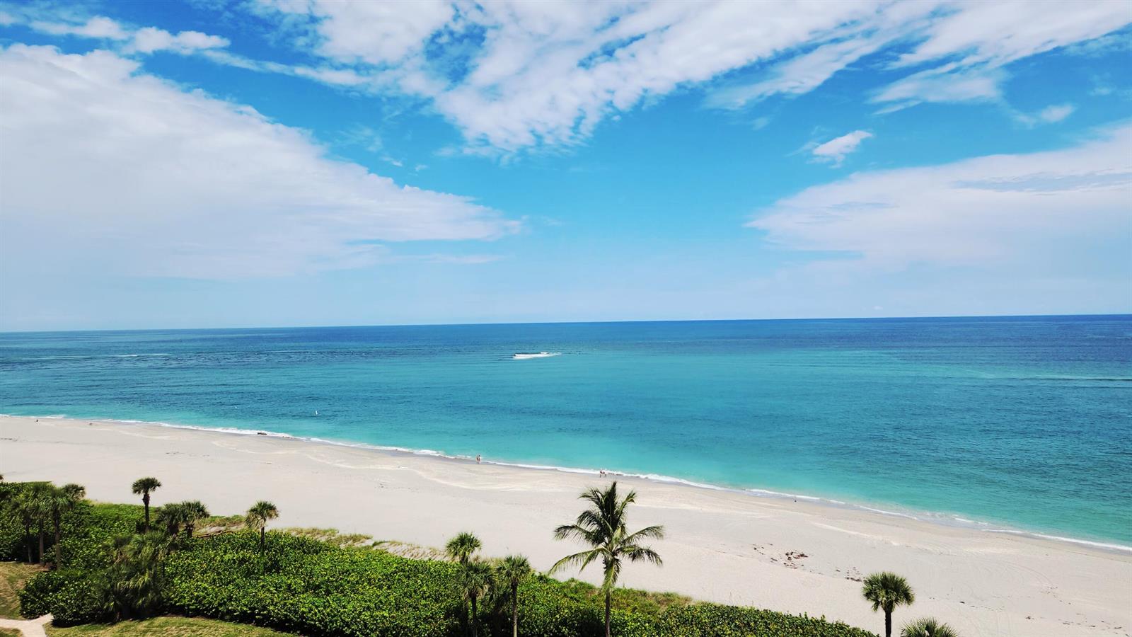 An aerial view of a sandy beach with palm trees and turquoise ocean water — 0000 SE Federal Highway, Jupiter FL 33469, JUPITER, FL