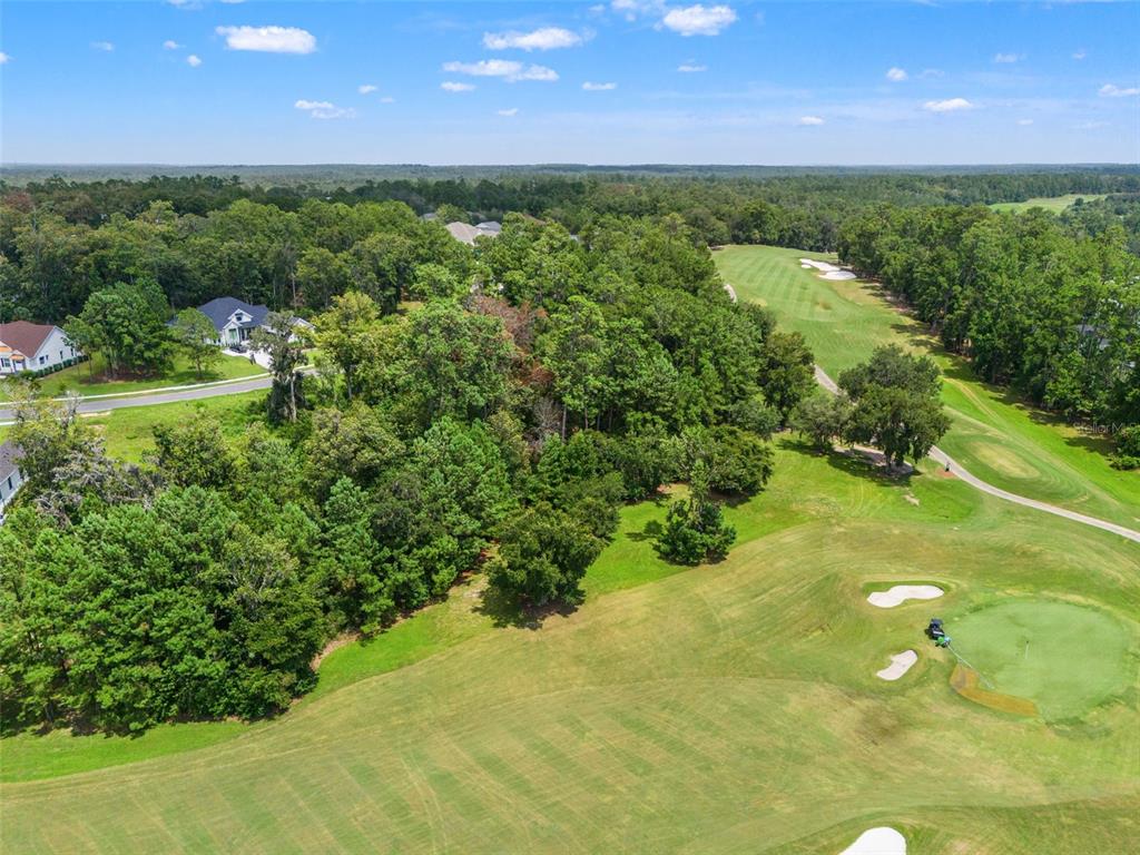 An aerial view shows a golf course fairway adjacent to a wooded area and houses — 5979 CREEK RIDGE ROAD, BROOKSVILLE, FL