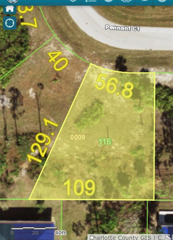 This is a map showing the property boundaries and dimensions of a vacant residential lot — 45 PENNANT COURT, PLACIDA, FL