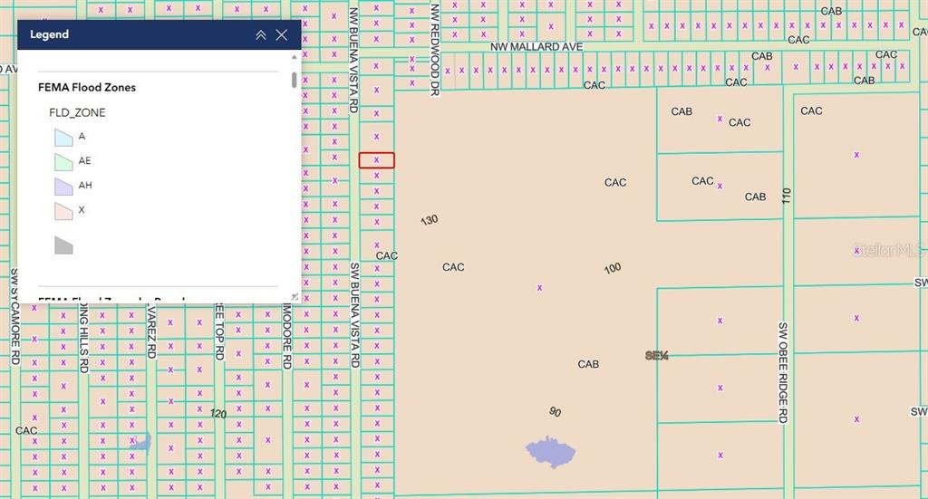 This is a map showing FEMA flood zones across a residential neighborhood grid — TBD SW BUENA VISTA ROAD, DUNNELLON, FL, FL