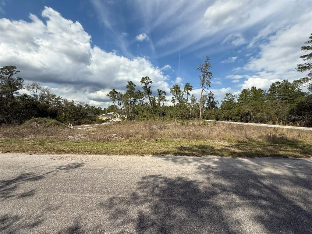 A vacant, grassy lot with scattered trees sits next to a paved road — 189 FISHER COURT, OCKLAWAHA, FL