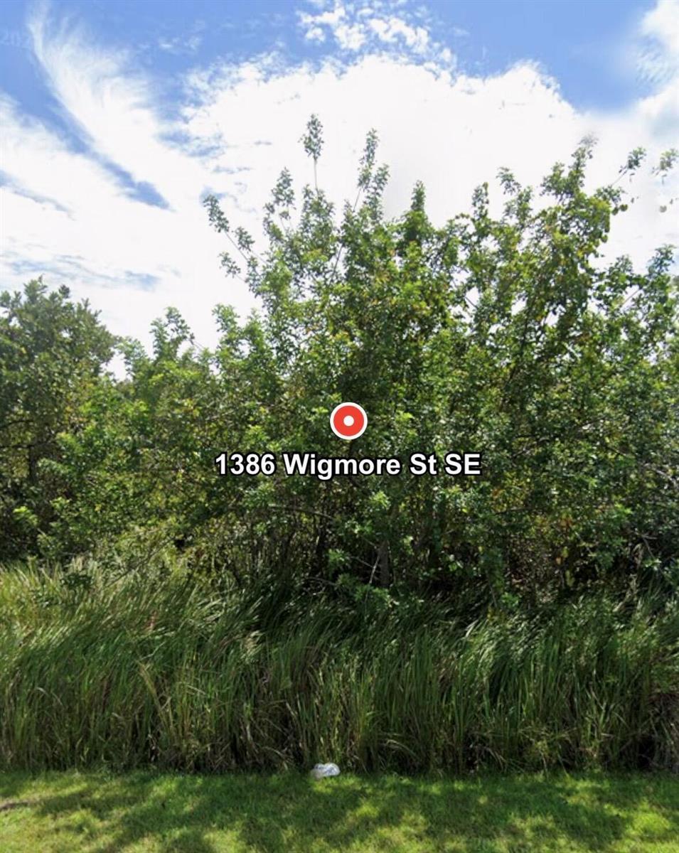 1386 SE Wigmore St Street SE, Palm Bay FL 32909