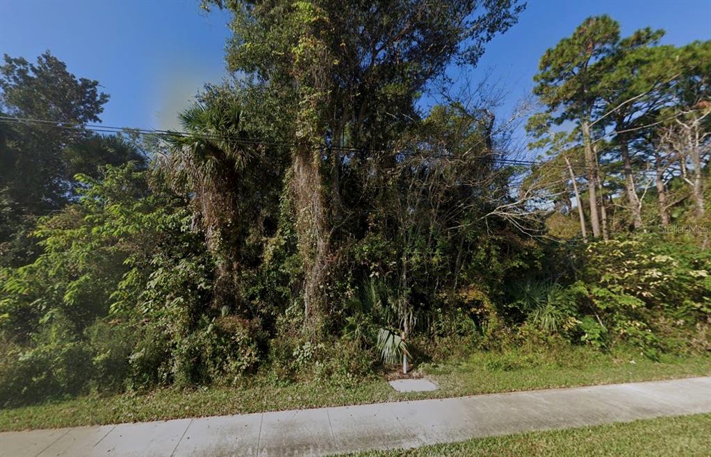 A densely wooded, undeveloped residential lot is bordered by a concrete sidewalk — 4670 S RIDGEWOOD AVENUE, EDGEWATER, FL