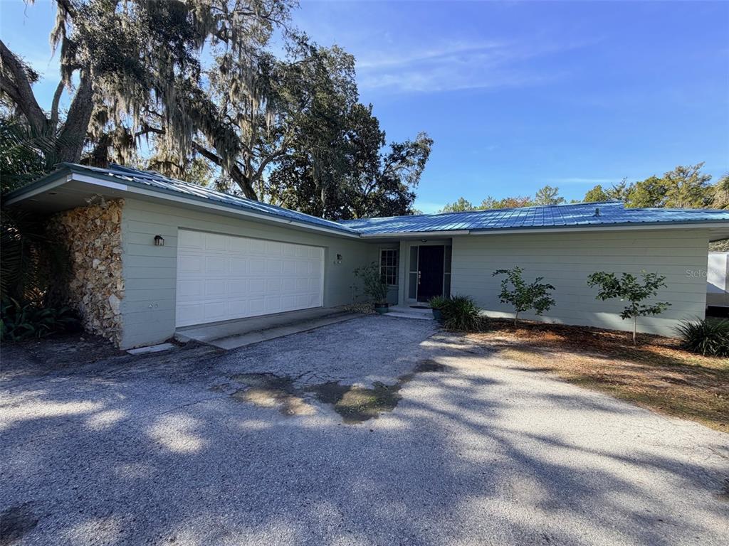 12 PALM DRIVE