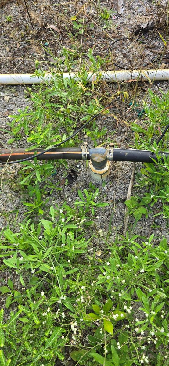A black irrigation hose with a T-connector is attached to a pipe in the ground — 15720 Okeechobee Boulevard, FL 33470, FL