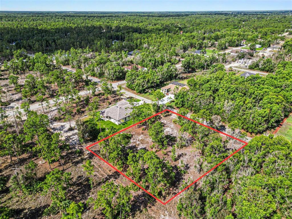 An aerial view shows a rectangular, wooded vacant lot outlined in red near a house — 204 SCOTT AVENUE, LEHIGH ACRES, FL