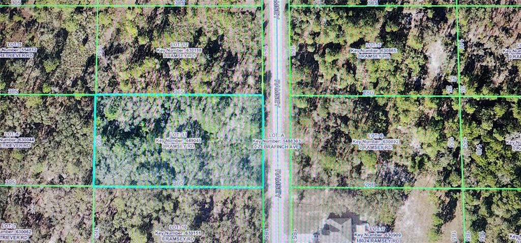 This is an aerial map showing land parcels and road boundaries in a wooded area — 18043 RAMSEY ROAD, WEEKI WACHEE, FL