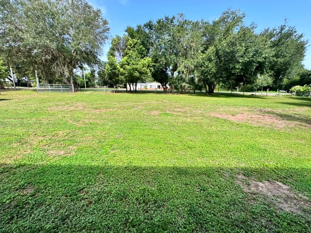 A wide, grassy backyard features several large trees and a distant white house — 3904 CORK ROAD, PLANT CITY, FL