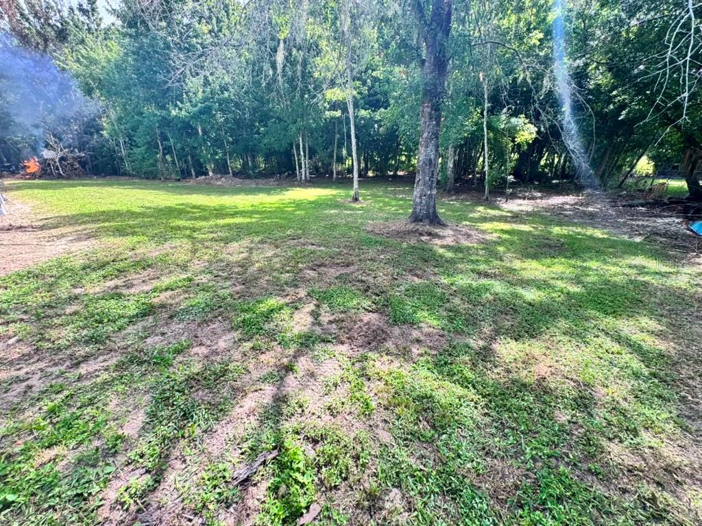A grassy backyard features scattered trees and a small fire burning in the distant corner — 3904 CORK ROAD, PLANT CITY, FL