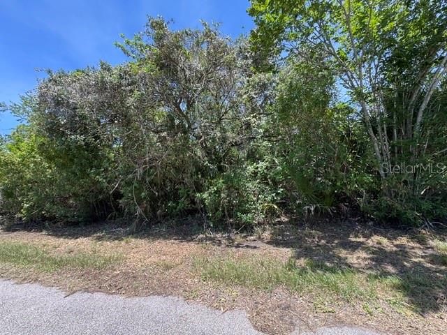 A dense, overgrown wooded lot sits adjacent to an asphalt road under a clear sky — 14427 MOLLA AVENUE, PORT CHARLOTTE, FL