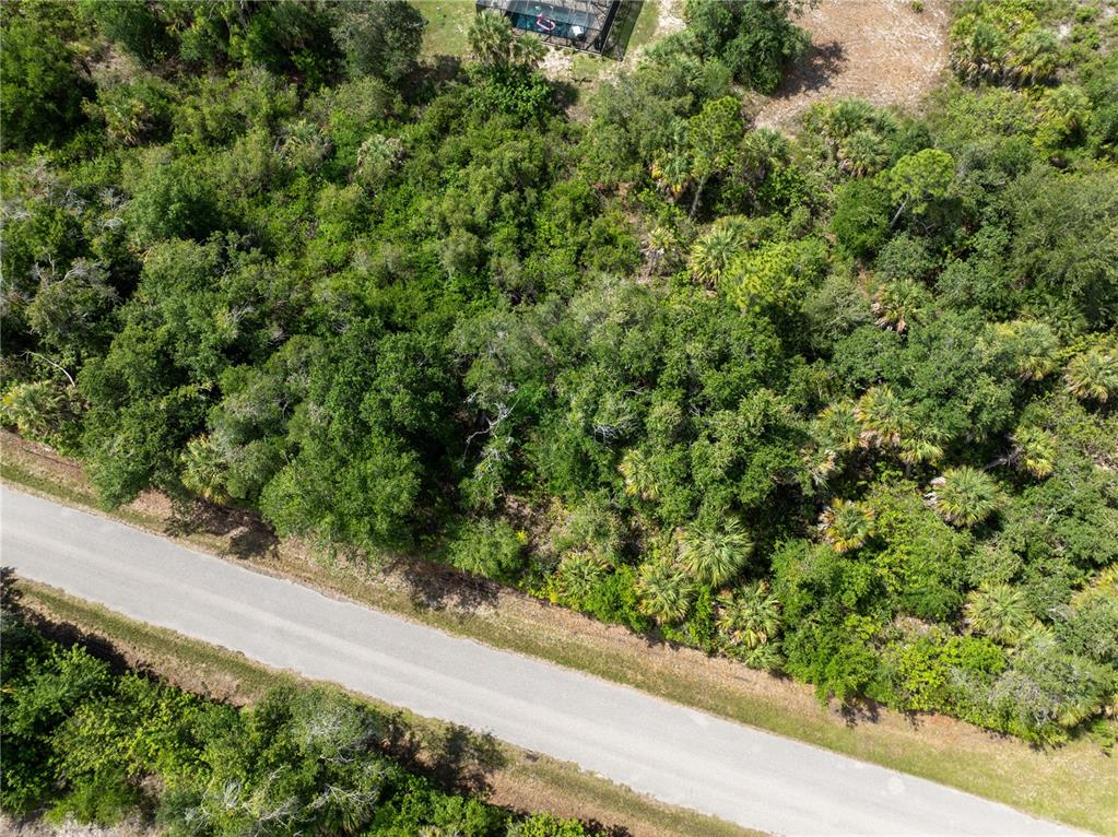 An aerial view shows a paved road bordering a densely wooded, undeveloped lot — 14427 MOLLA AVENUE, PORT CHARLOTTE, FL