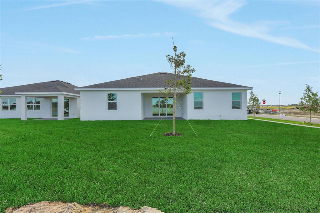 The exterior rear view of a white single-story house features a lawn and young tree — 10716 NW SUNCREST LOOP, PORT ST LUCIE, FL