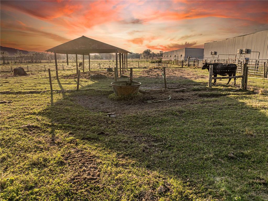A fenced pasture features a metal shelter, a water trough, and a cow at sunset — CR 523, WILDWOOD, FL