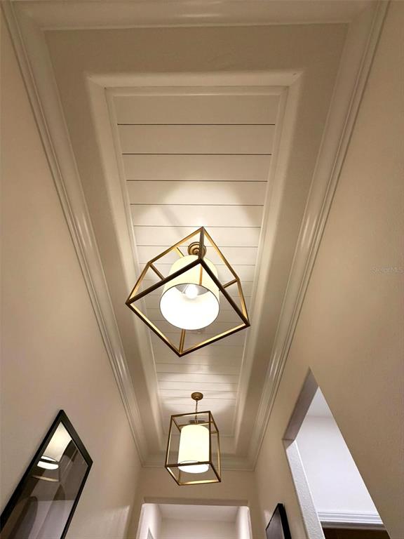 A hallway features a shiplap tray ceiling with two geometric pendant lights — 19311 PRAIRIE TREE PLACE, TAMPA, FL