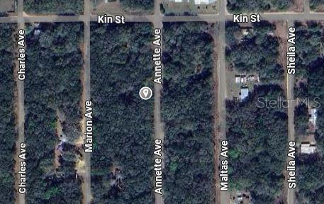 ANNETTE, INTERLACHEN, FL — photo 2 of 4