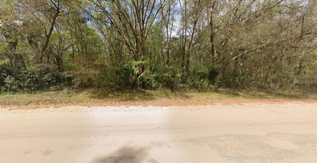 ANNETTE, INTERLACHEN, FL — photo 3 of 4