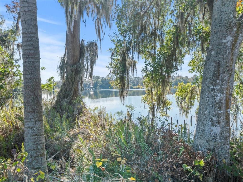A view of a calm lake framed by large trees draped in Spanish moss — BOY SCOUT ROAD, ODESSA, FL