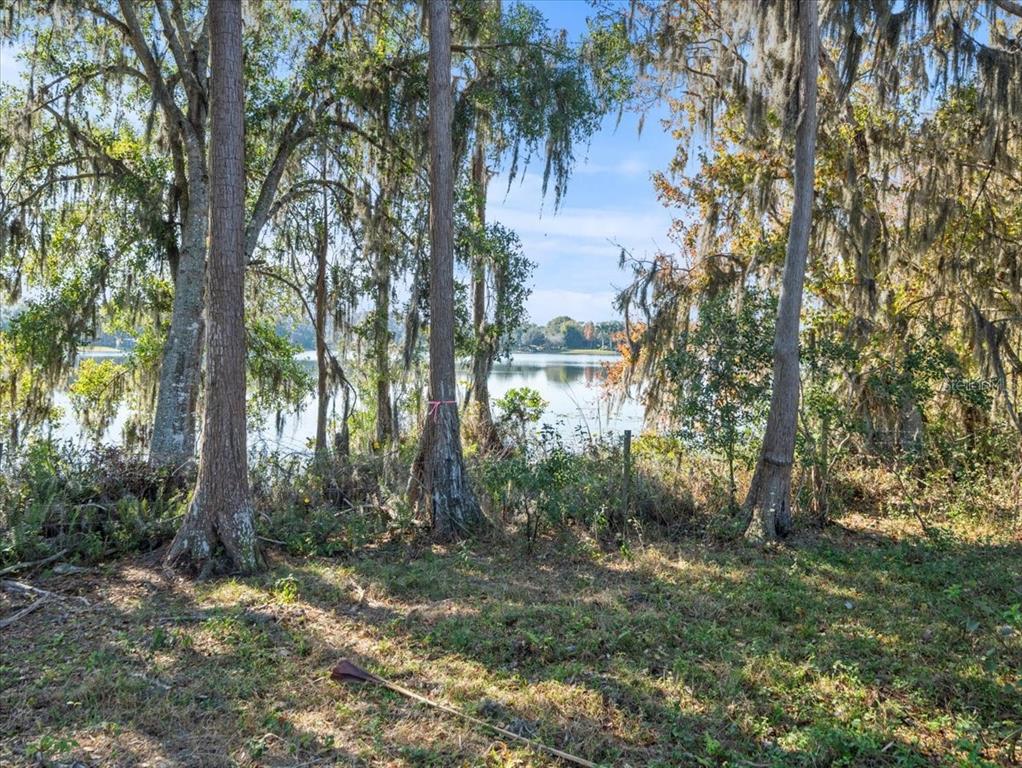 A view of a lake through trees with Spanish moss on a sunny day — BOY SCOUT ROAD, ODESSA, FL